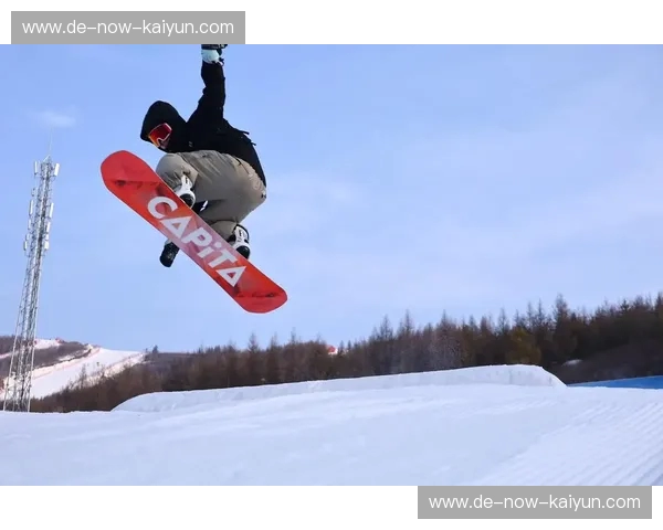 跳台滑雪赛事专栏：风与勇气的高空乐章