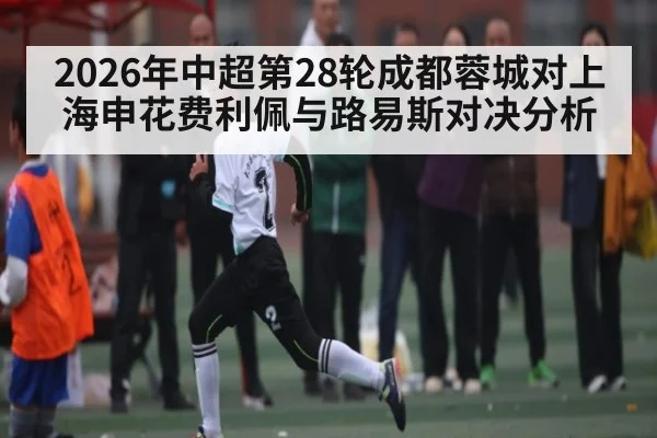 2026年中超第28轮成都蓉城对上海申花费利佩与路易斯对决分析